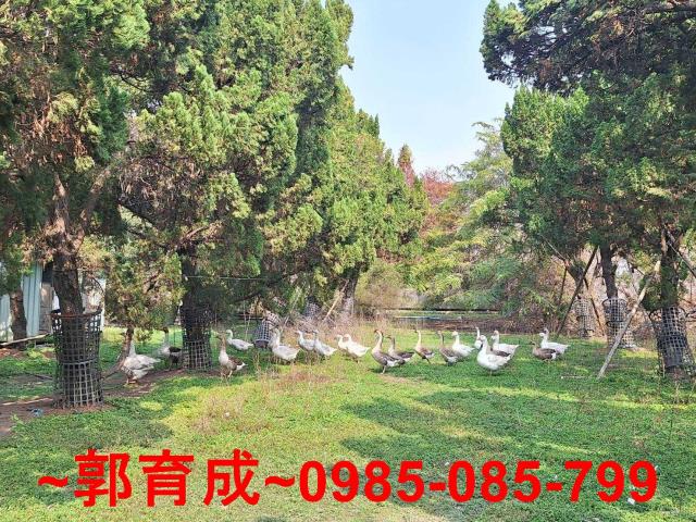 雲林農地-9