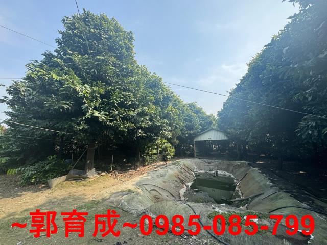 雲林農地-12