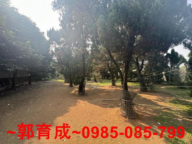 雲林農地-6