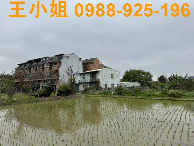 平鎮農地-12