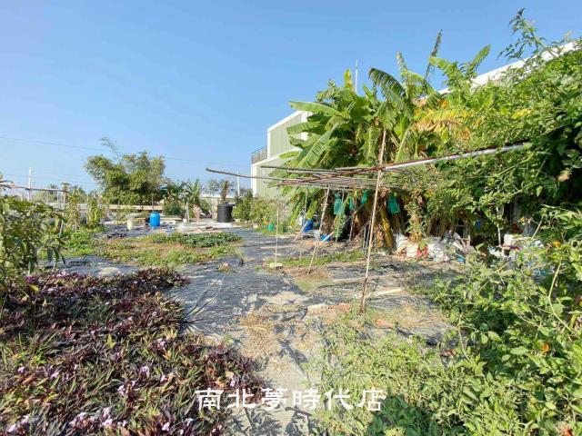 南區農地-1
