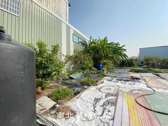 南區農地-6