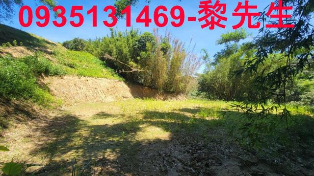 新竹農地-5