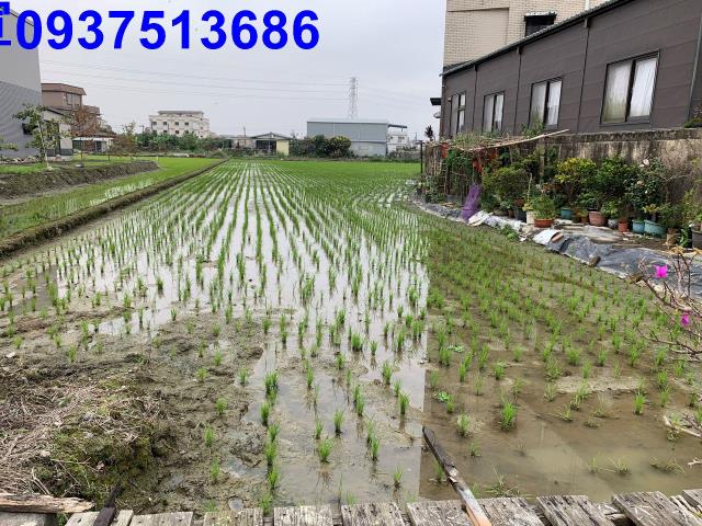 宜蘭冬山農地-9