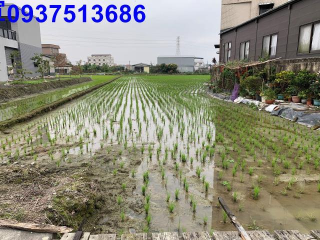 宜蘭冬山農地-3