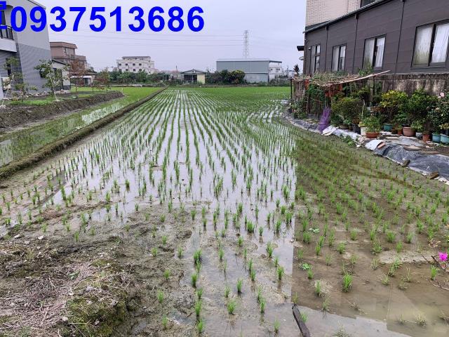 宜蘭冬山農地-4