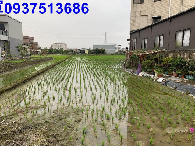 宜蘭冬山農地-5