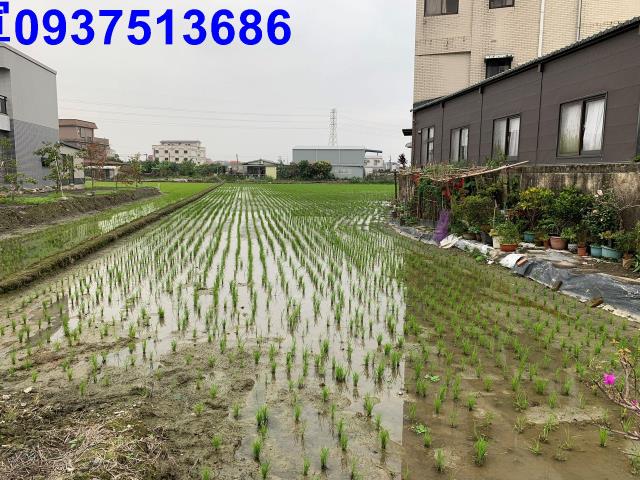 宜蘭冬山農地-7