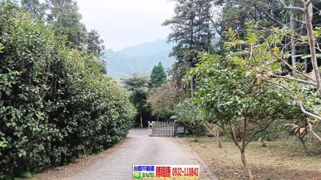 竹東農地-8
