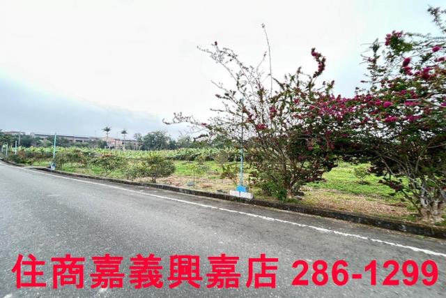 中埔農地-1