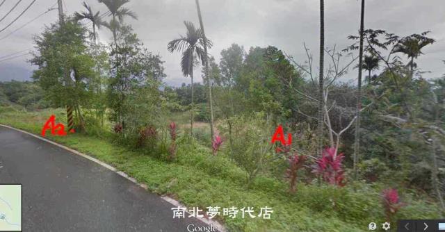 花蓮壽豐農地-0
