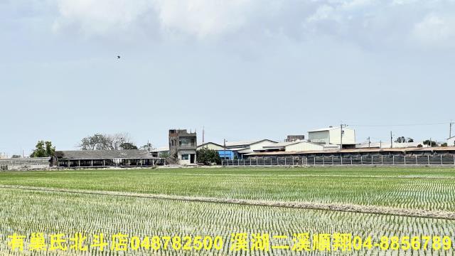 彰化農地-2