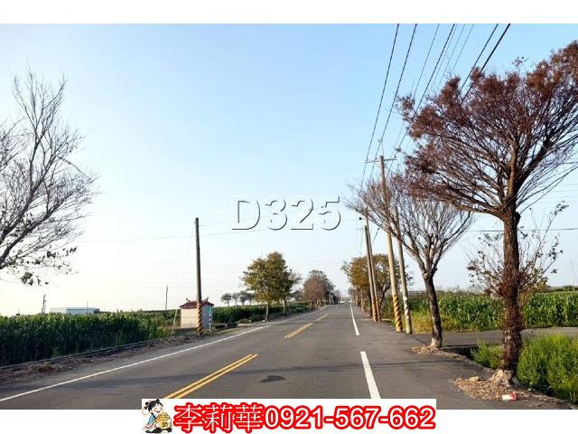 台南新營農地-0