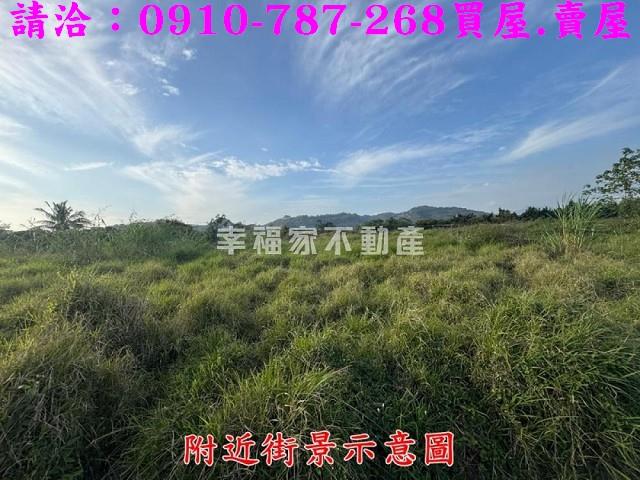台南農地-7