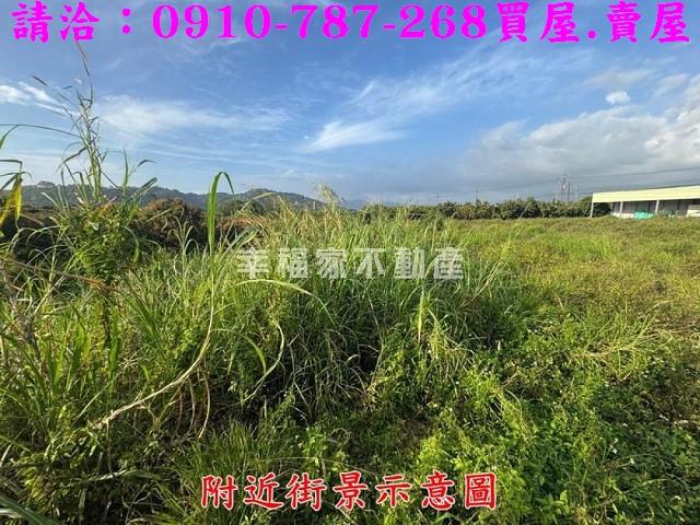 台南農地-8