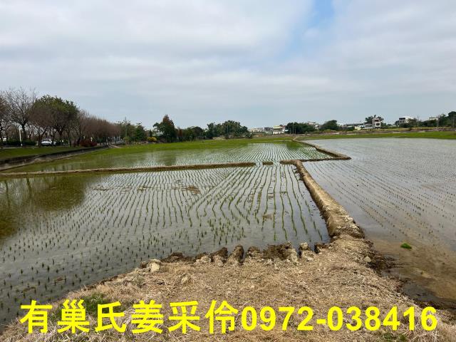 嘉義民雄農地-0