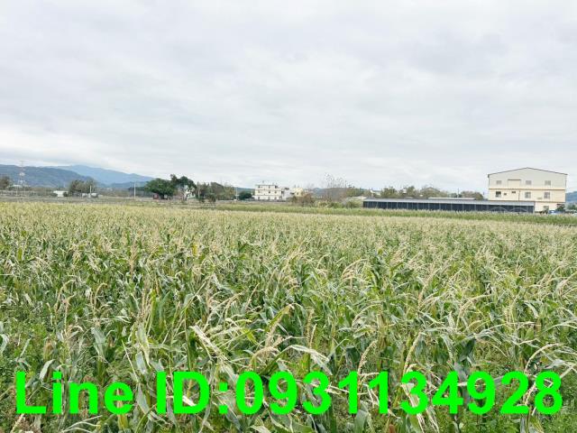 后里農地-0