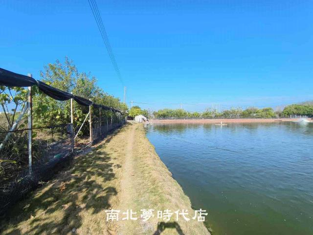 台南農地-7