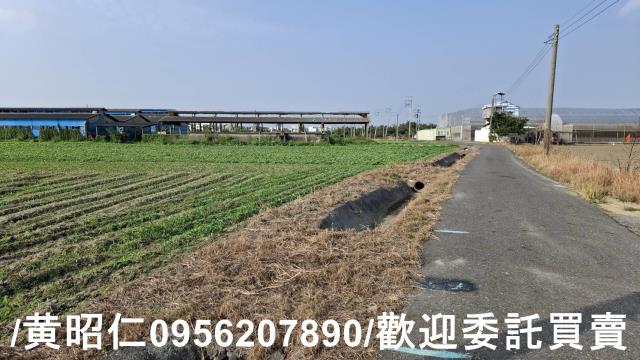 佳里農地-10