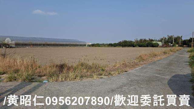 佳里農地-11