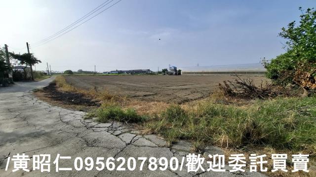 佳里農地-4