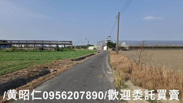 佳里農地-7