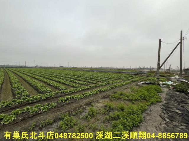 二林農地-6