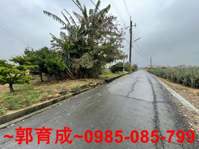 嘉義農地-6