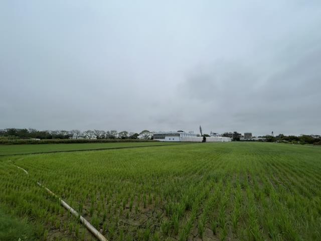 嘉義水上農地-0