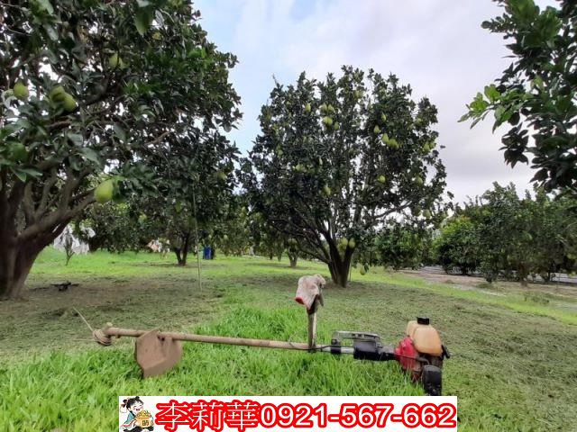 台南麻豆農地-7