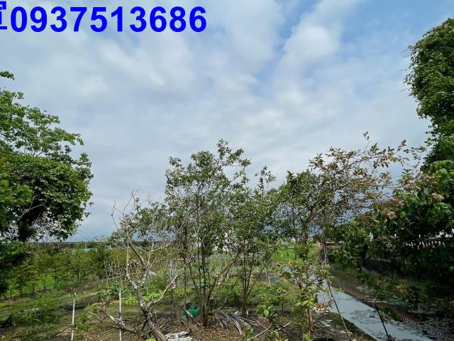 宜蘭壯圍農地-13