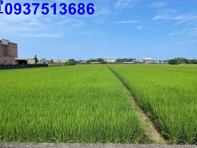 宜蘭壯圍農地-10