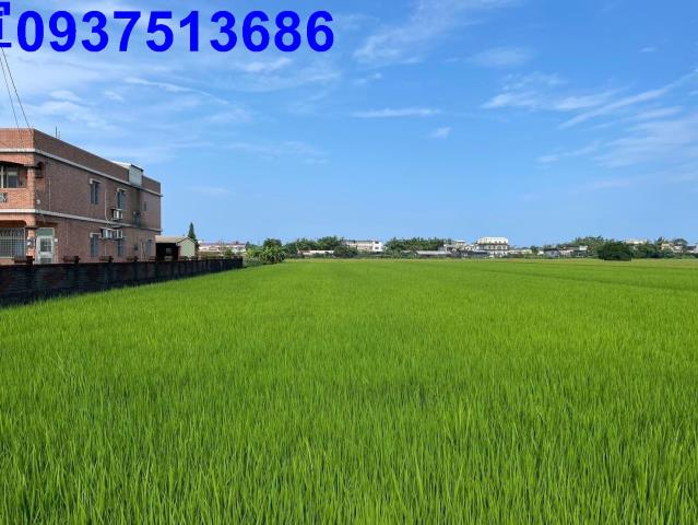宜蘭壯圍農地-11