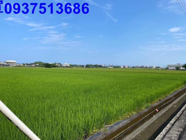 宜蘭壯圍農地-12