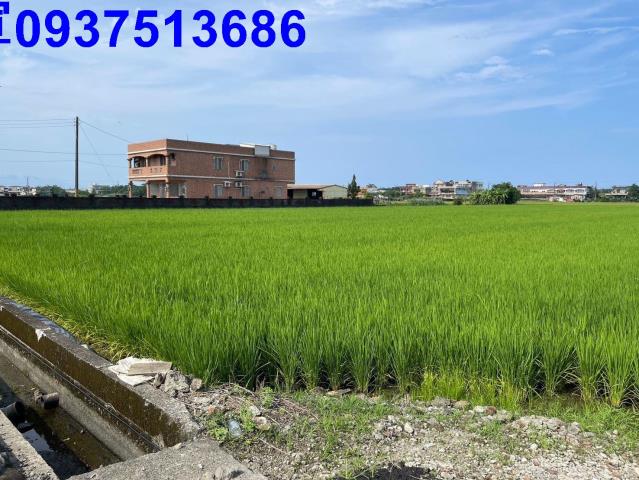 宜蘭壯圍農地-0