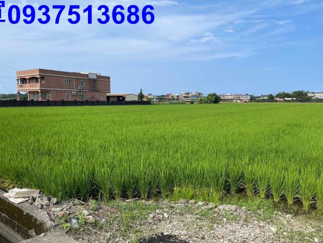 宜蘭壯圍農地-1