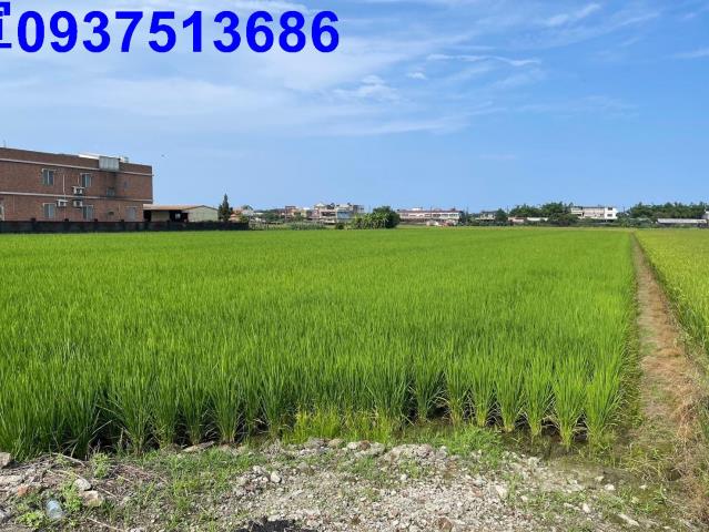 宜蘭壯圍農地-2