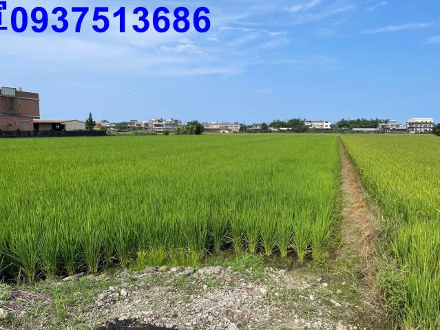 宜蘭壯圍農地-3