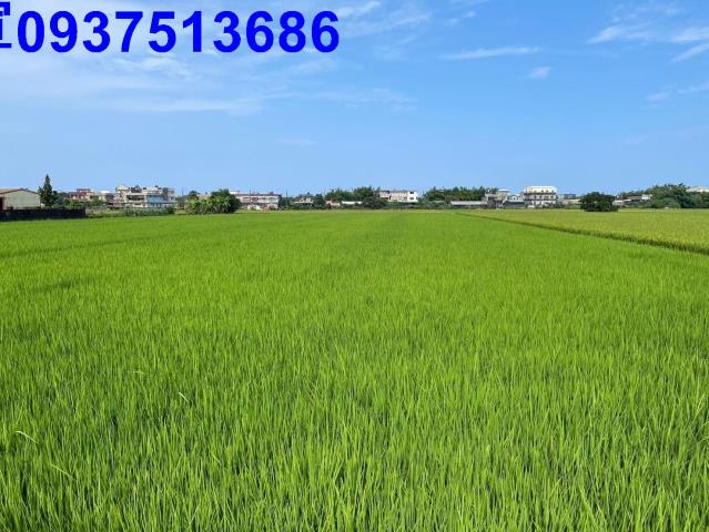 宜蘭壯圍農地-4