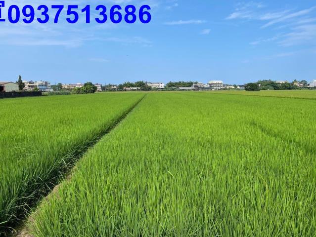 宜蘭壯圍農地-5