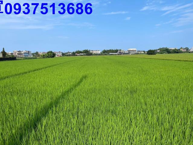 宜蘭壯圍農地-6