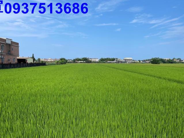 宜蘭壯圍農地-7