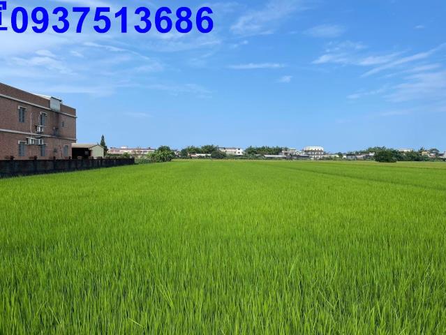 宜蘭壯圍農地-8