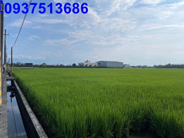宜蘭壯圍農地-11