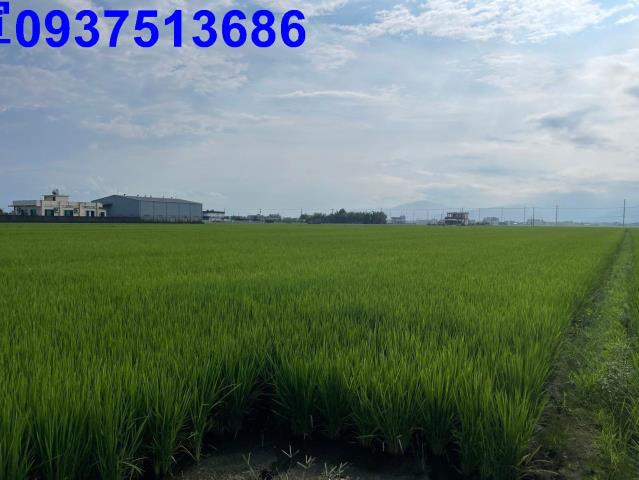 宜蘭壯圍農地-14