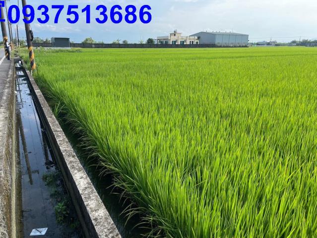 宜蘭壯圍農地-4