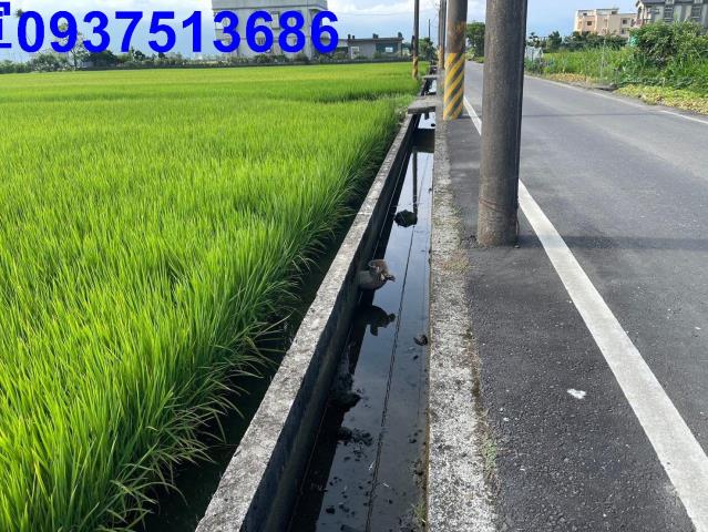 宜蘭壯圍農地-5