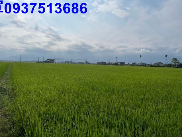 宜蘭壯圍農地-6