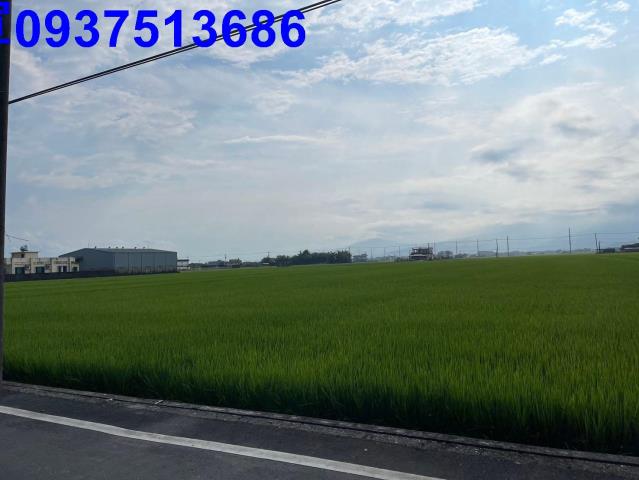 宜蘭壯圍農地-8