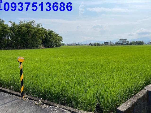 宜蘭礁溪農地-14